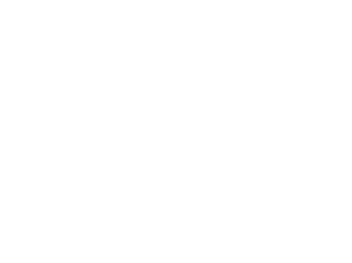 SCL Floors and Doors